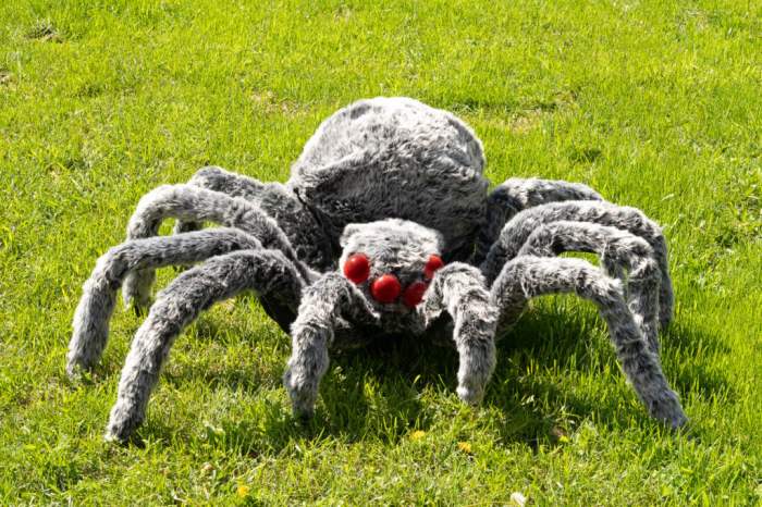 How to make a large spider decoration