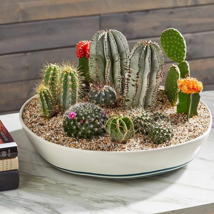 How to make a cactus decoration