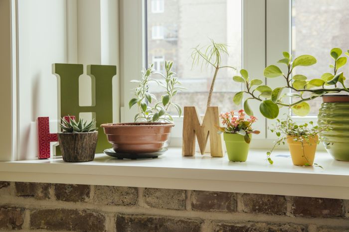 How to decorate a small kitchen window